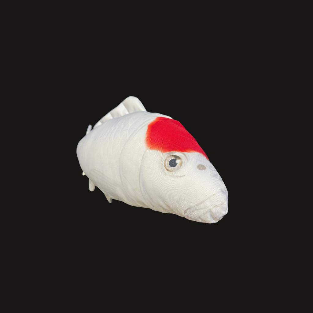 image_0