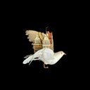 image_0