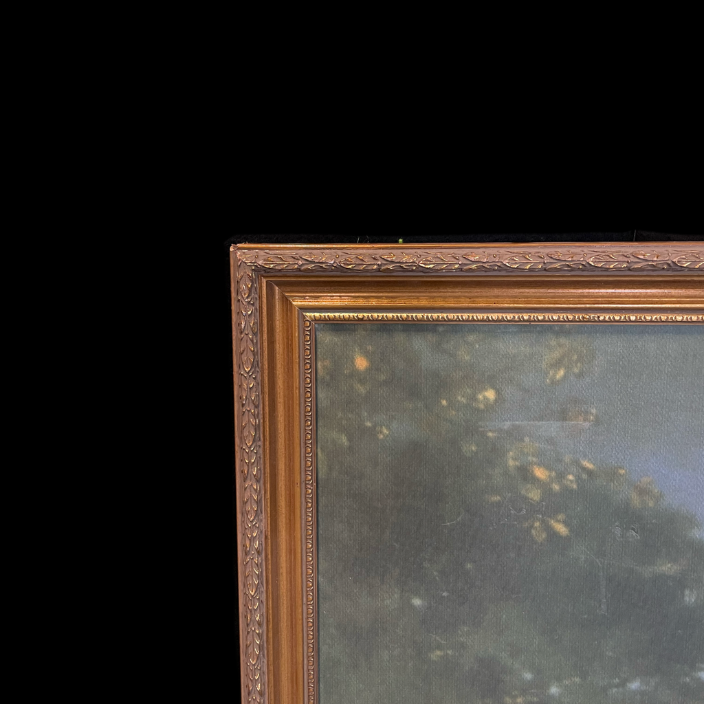 image_0