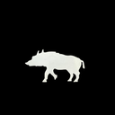 image_2