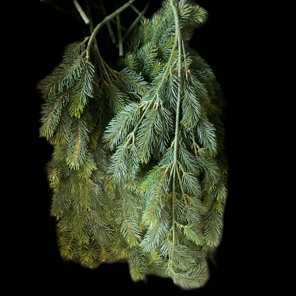 image_0