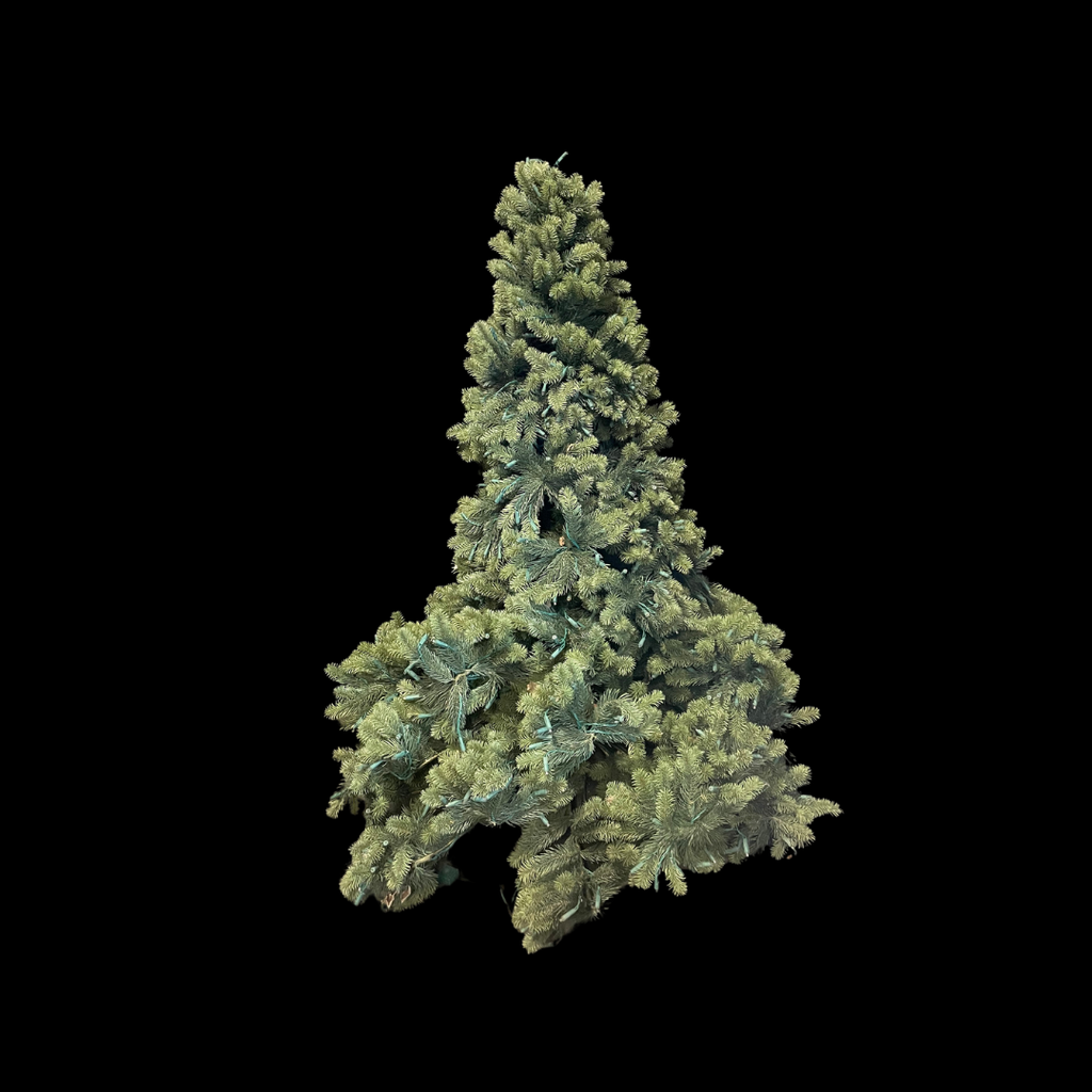 image_1