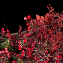 image_0