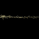 image_3