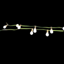 image_7