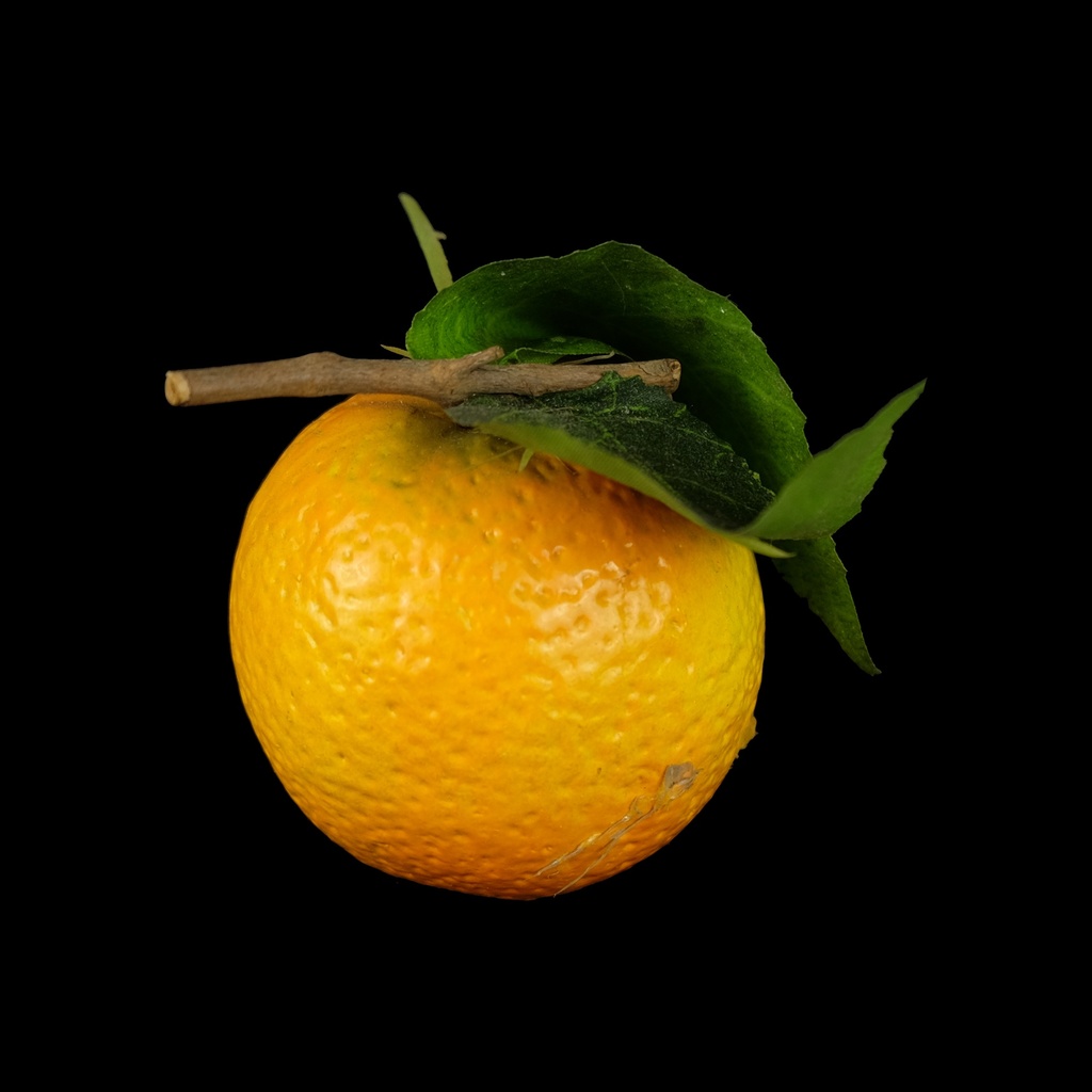 Miete von Kiste Kunst-Orangen (Interval(s))