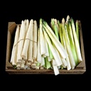 Kiste Kunst-Spargel
