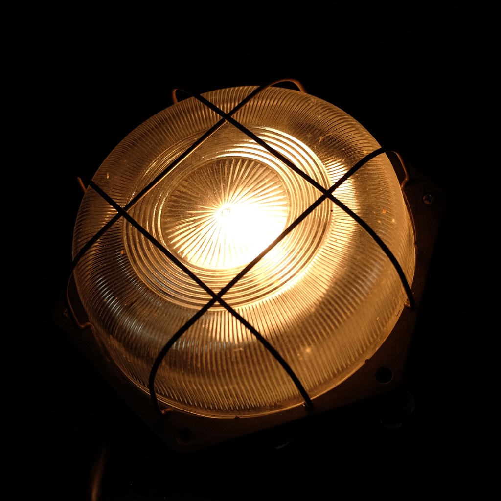 braune Schildkrötenlampe