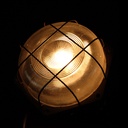 braune Schildkrötenlampe