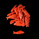 kleine bunte Plastikfische