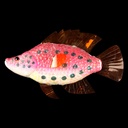 großer roter Glitzerfisch