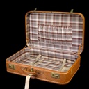 hellbrauner Reisekoffer, Elefantenlederhaptik