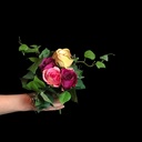 Blumen-Gebinde, klein