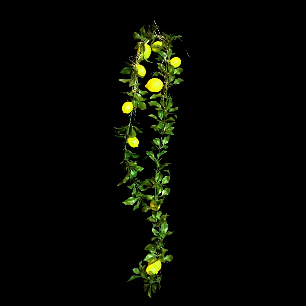 Zitronen-Ranke
