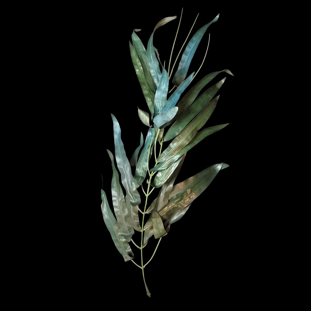Urwald-Blätter, diverse