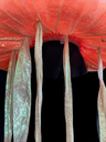 image_0