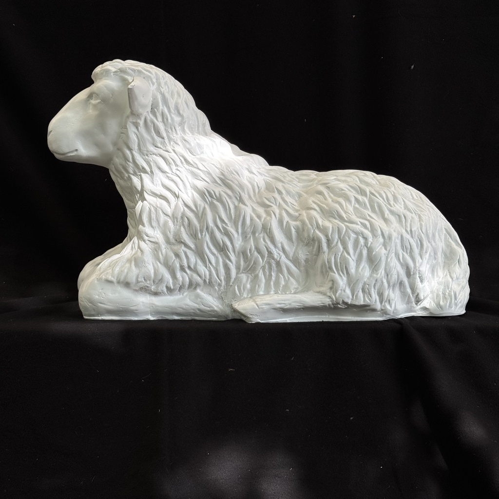image_0