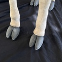 image_1