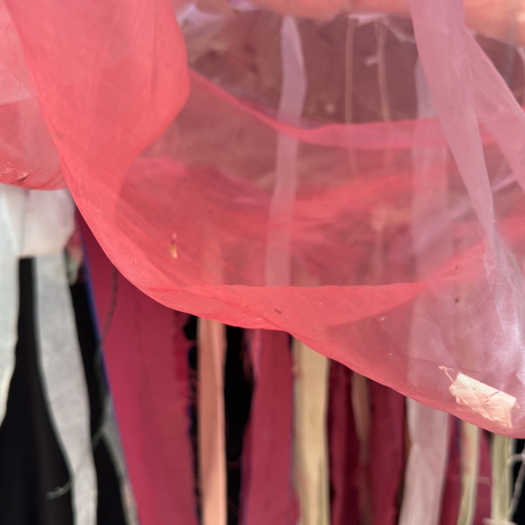 image_0