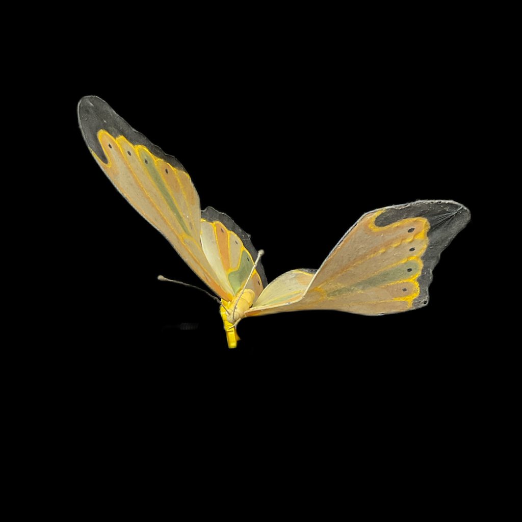 image_0