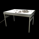 Leuchttisch