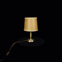Tischlampe mit Lederschirm
