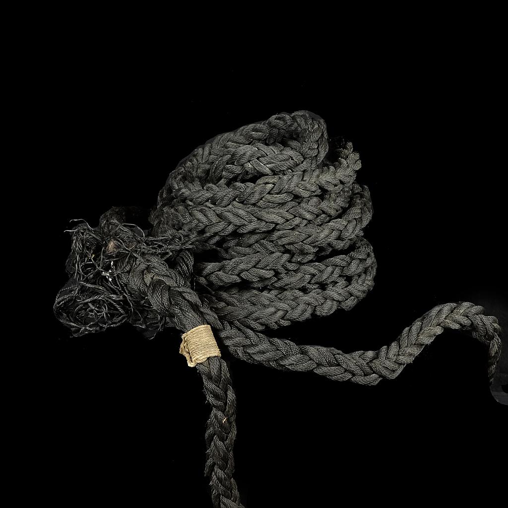 dicke schwarze Tampe 13m
