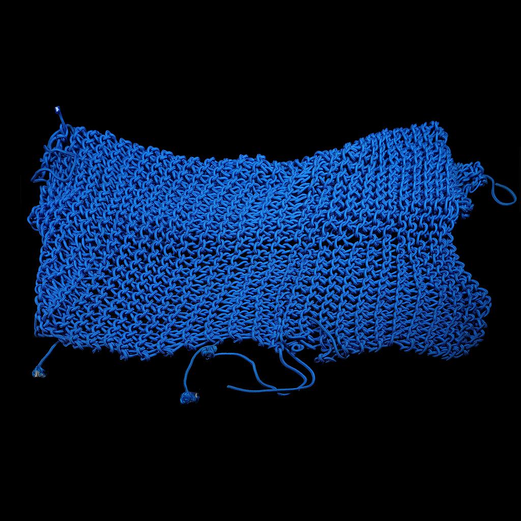 großes blaues Netz