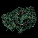 grünes Fischernetz mit Schwimmern