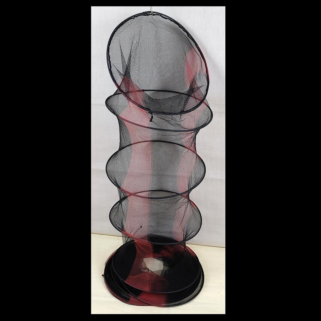schwarz-rote Fischerreuse