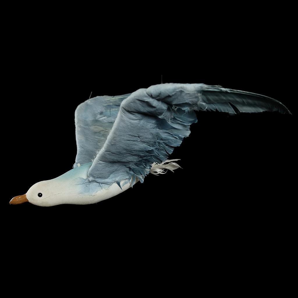 blau weiße Möwe