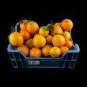Kiste Kunst-Orangen