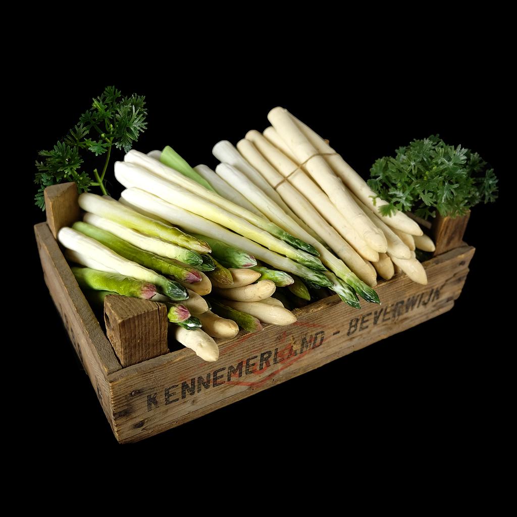 Kiste Kunst-Spargel