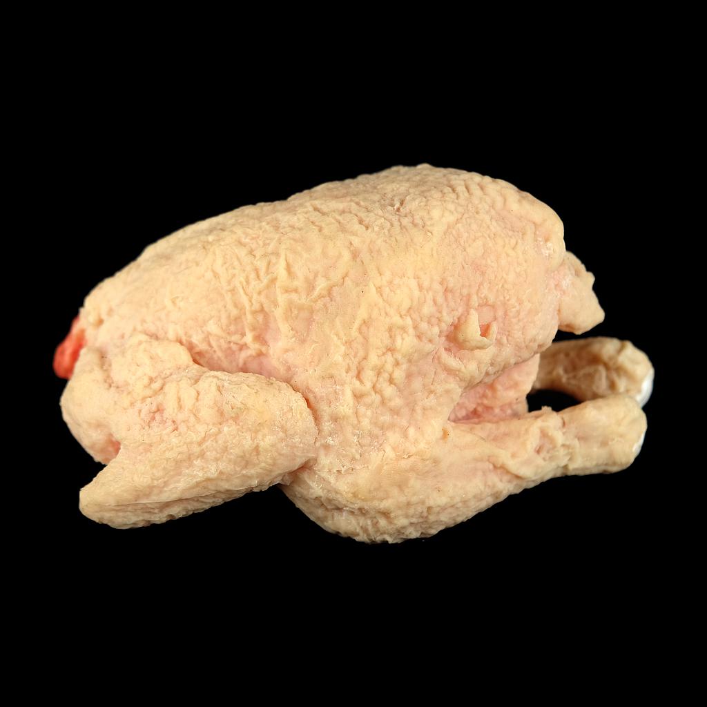 Kunst-Hähnchen