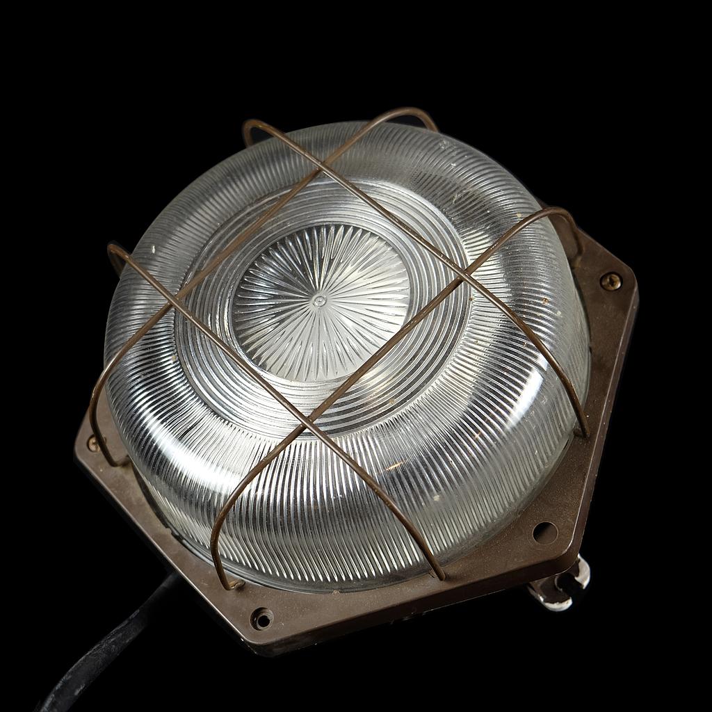 braune Schildkrötenlampe