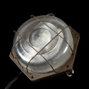 braune Schildkrötenlampe