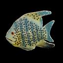 Miete - blauer Fisch aus Pappmache