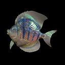 Miete - weiß-blauer Glitzer-Fisch