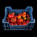 Miete - Kiste Kunst-Tomaten