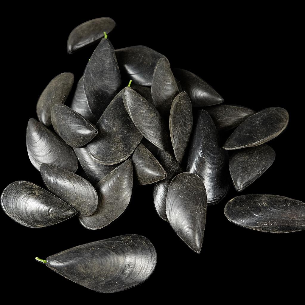 schwarze Plastikmuscheln