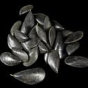 Miete - schwarze Plastikmuscheln