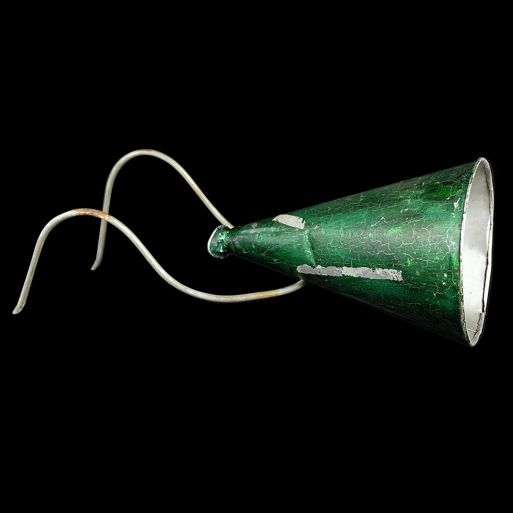 grüne Flüstertüte