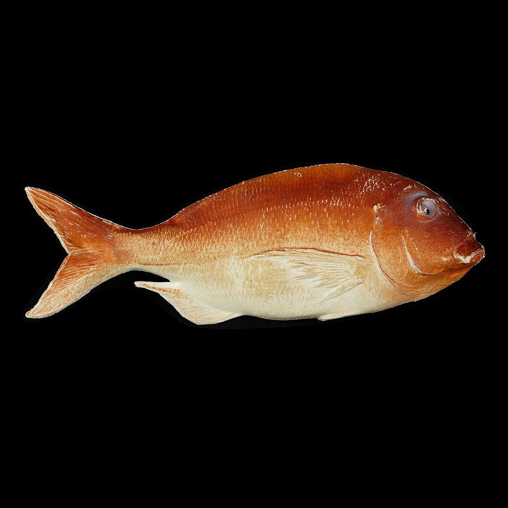 Fisch aus Plastik Dorade