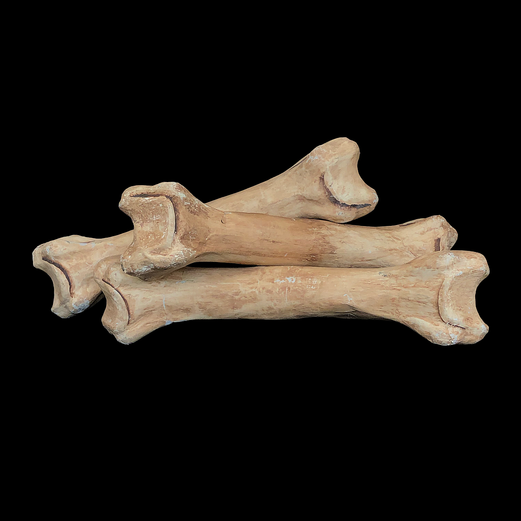 beige Knochen aus Pappmaché
