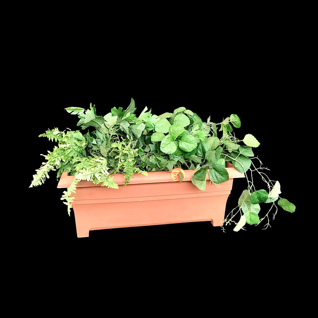 Miete - Grüngesteck im Blumenkasten