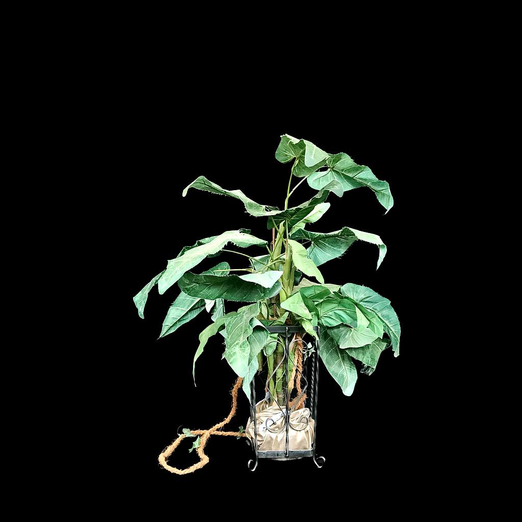 Miete - künstlicher Philodendron im Metallkorb
