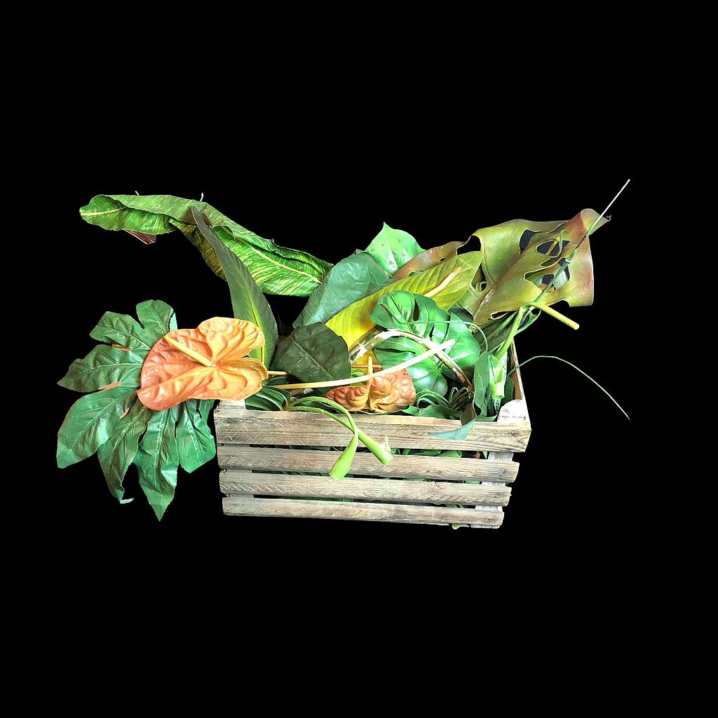 Miete - Kiste Urwald-Blätter