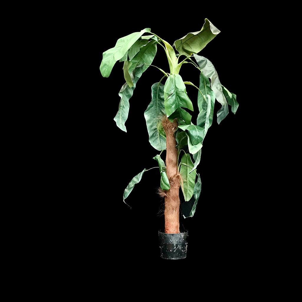 Miete - künstliche Palme im Topf