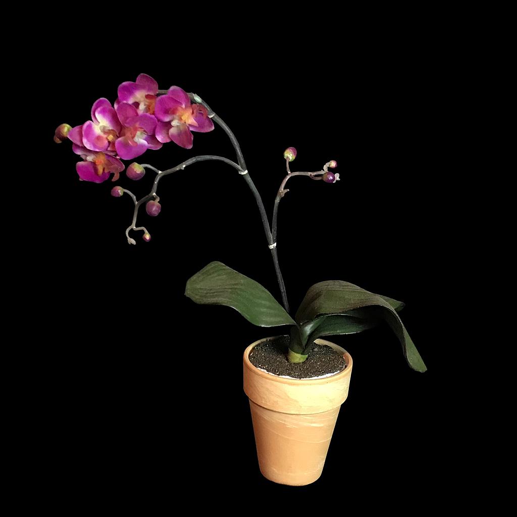 Miete - Künstliche Pflanze, Orchidee, pink