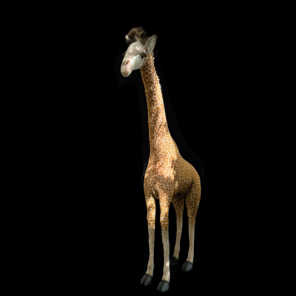 "Alexandra", die Giraffe